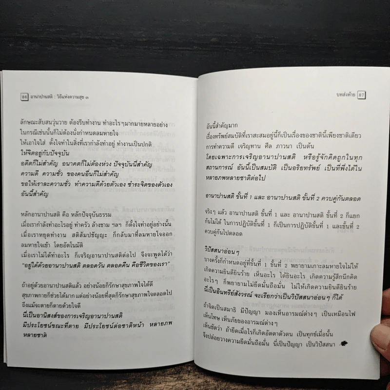 อานาปานสติ : วิถีแห่งความสุข 3 ขั้นที่ 9-16 - พระอาจารย์มิตซูโอะ คเวสโก รูปที่ 11