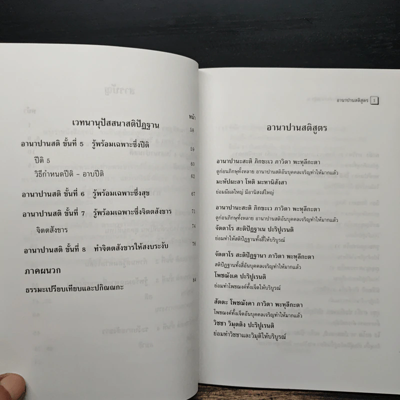 อานาปานสติ : วิถีแห่งความสุข 2 อานาปานสติ ขั้นที่ 1-8 - พระอาจารย์มิตซูโอะ คเวสโก รูปที่ 9