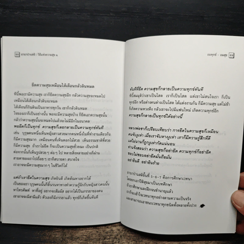 อานาปานสติ : วิถีแห่งความสุข 1 ชีวิตทั้งหมดให้อยู่ด้วยอานาปานสติ - พระอาจารย์มิตซูโอะ คเวสโก รูปที่ 10