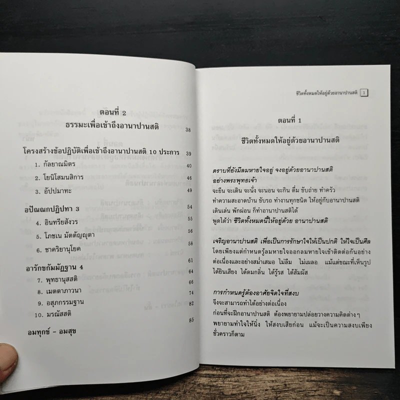 อานาปานสติ : วิถีแห่งความสุข 1 ชีวิตทั้งหมดให้อยู่ด้วยอานาปานสติ - พระอาจารย์มิตซูโอะ คเวสโก รูปที่ 9