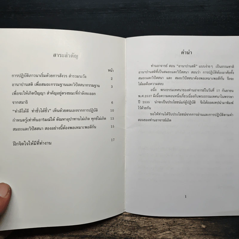 จับลมบ่อยๆ - พระอาจารย์มิตซูโอะ คเวสโก รูปที่ 6