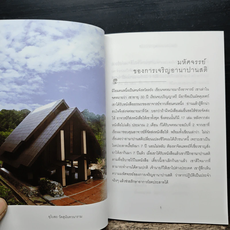 สติเป็นธรรมเอก - พระอาจารย์มิตซูโอะ คเวสโก รูปที่ 8