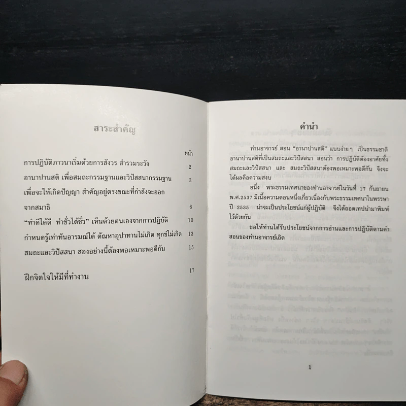 จับลมบ่อยๆ - พระอาจารย์มิตซูโอะ คเวสโก รูปที่ 6