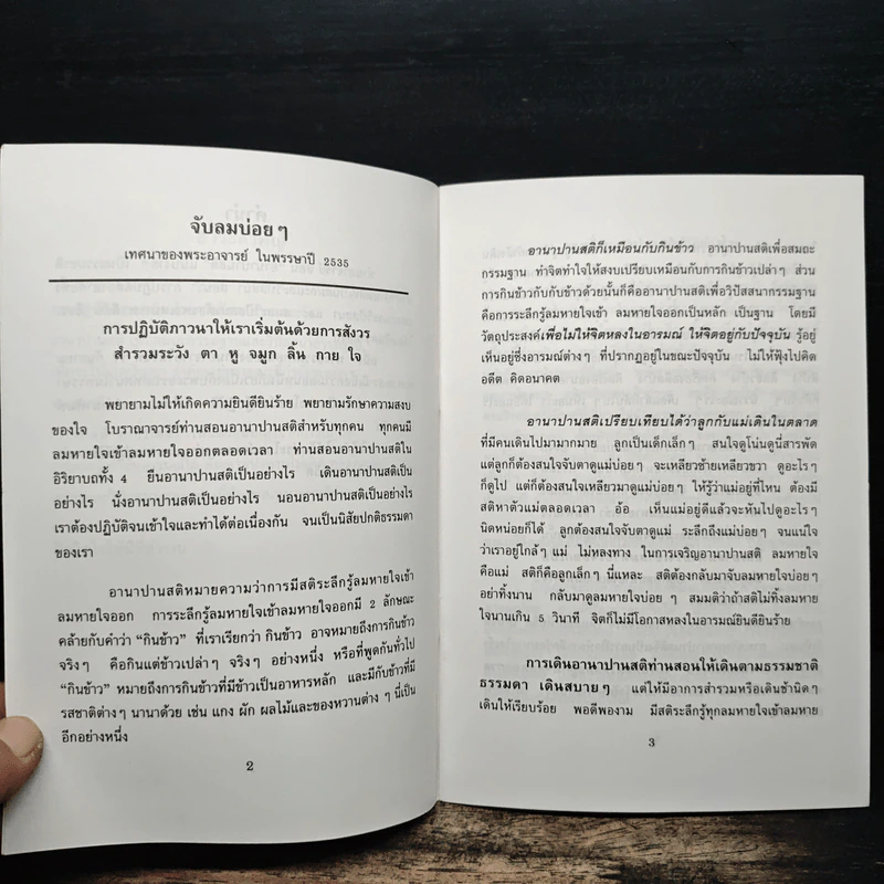 จับลมบ่อยๆ - พระอาจารย์มิตซูโอะ คเวสโก รูปที่ 7