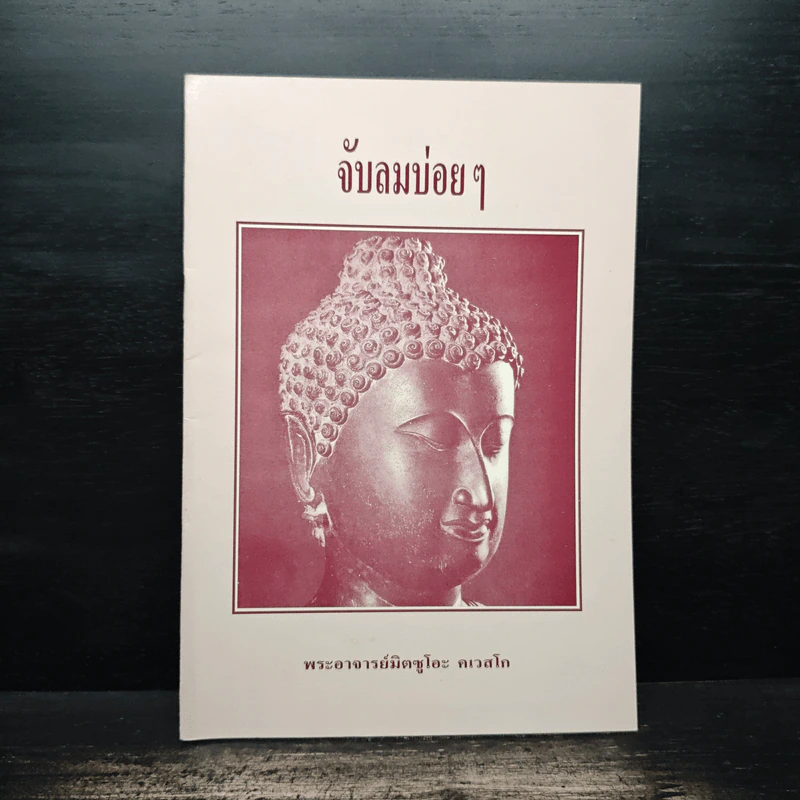 จับลมบ่อยๆ - พระอาจารย์มิตซูโอะ คเวสโก รูปที่ 1