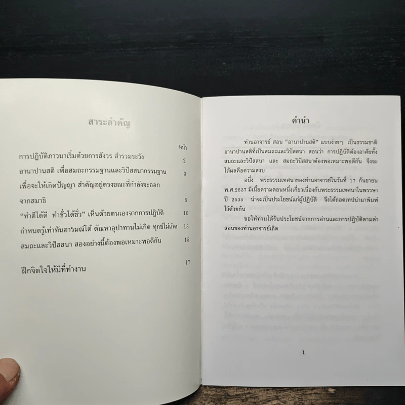 จับลมบ่อยๆ - พระอาจารย์มิตซูโอะ คเวสโก รูปที่ 6