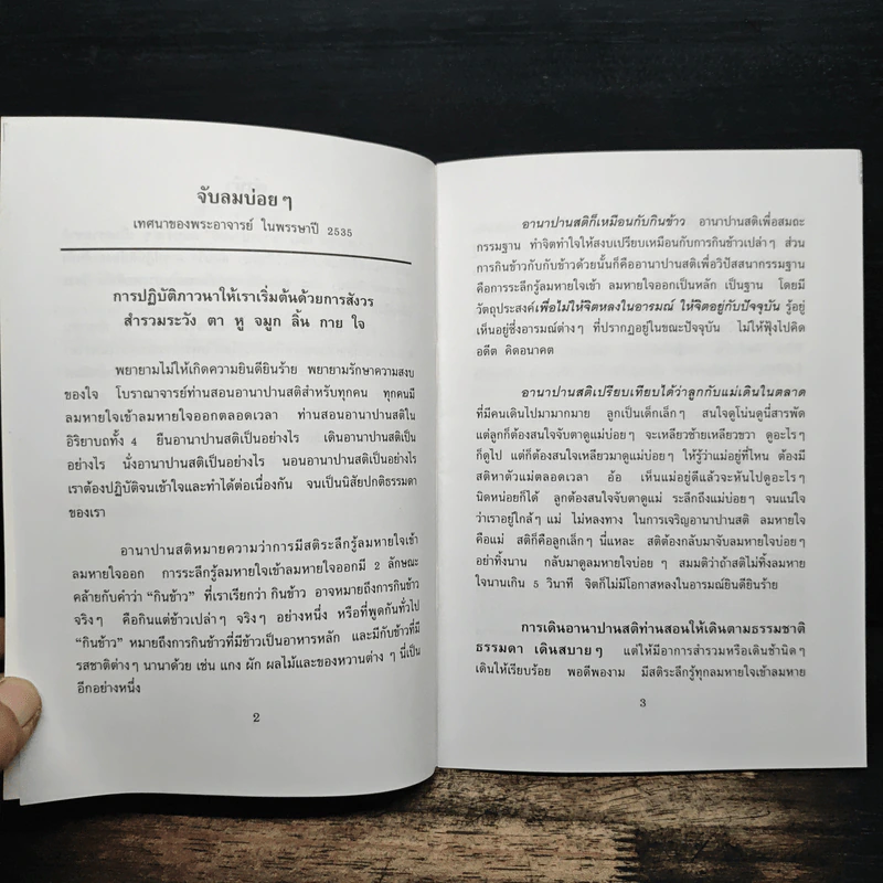 จับลมบ่อยๆ - พระอาจารย์มิตซูโอะ คเวสโก รูปที่ 7