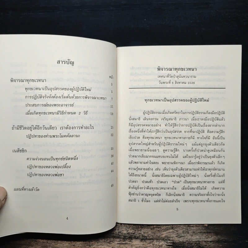 ทุกขเวทนา - พระอาจารย์มิตซูโอะ คเวสโก รูปที่ 7