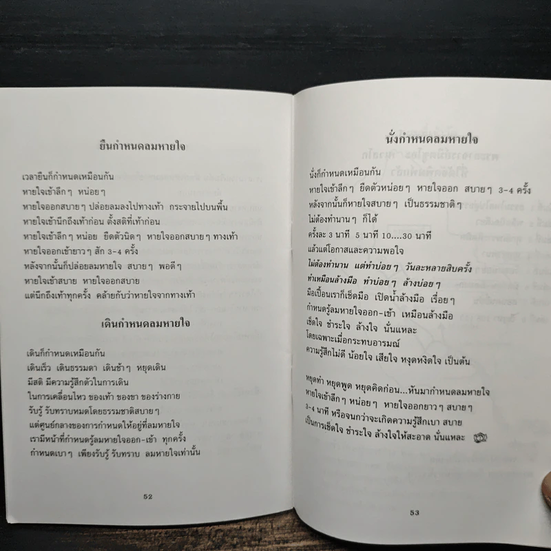 สอนคนขี้บ่น - พระอาจารย์มิตซูโอะ คเวสโก รูปที่ 8