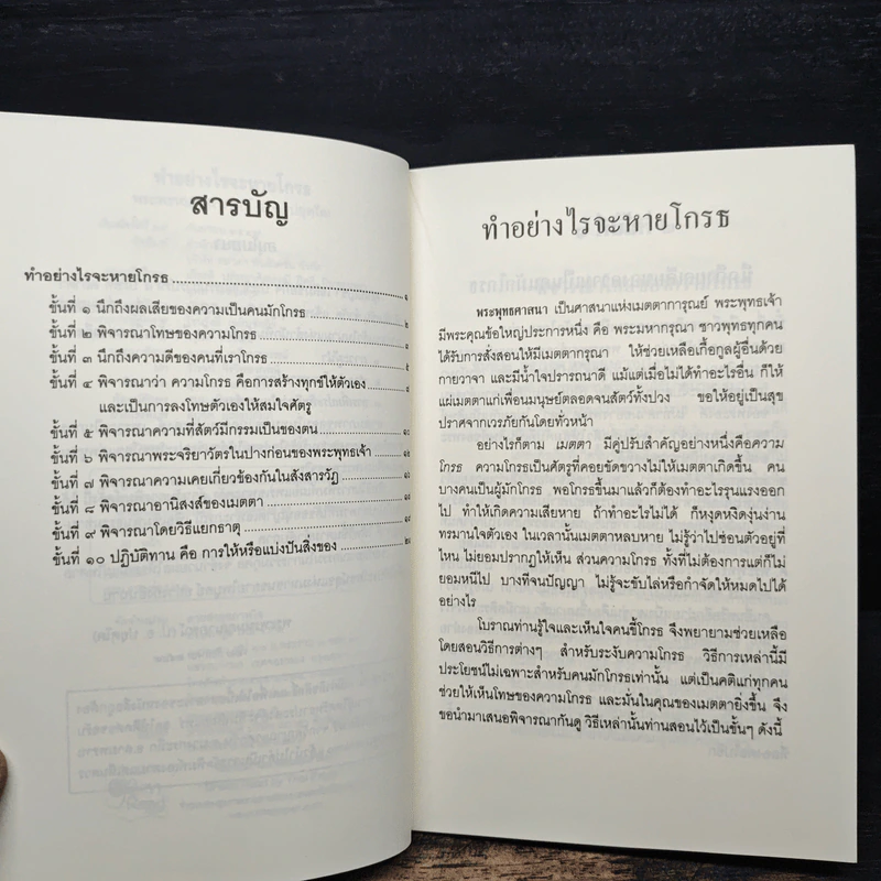 ทำอย่างไรจะหายโกรธ - พระพรหมคุณาภรณ์(ป.อ.ปยุตฺโต) รูปที่ 7