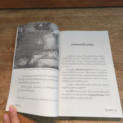 ลิง โลน โลน - ล้อม เพ็งแก้ว รูปที่ 7