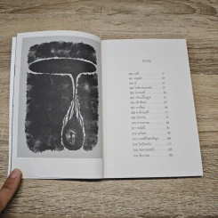 84 Paragraphs of consolations แปดสิบสี่ย่อหน้าของการปลอบประโลม - วิวัฒน์ เลิศวิวัฒน์วงศา รูปที่ 6