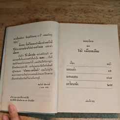 แผลเก่า แสนแสบ เกวียนหัก - ไม้ เมืองเดิม รูปที่ 8