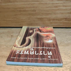 ตำราดูพระ จากหนังสือขุมทรัพย์จากพระโอษฐ์ของพุทธทาส รูปที่ 4