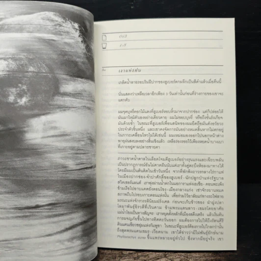 H2O ปรากฎการณ์แตกตัวของน้ำบนแผ่นกระดาษ - อนุสรณ์ ติปยานนท์ รูปที่ 8