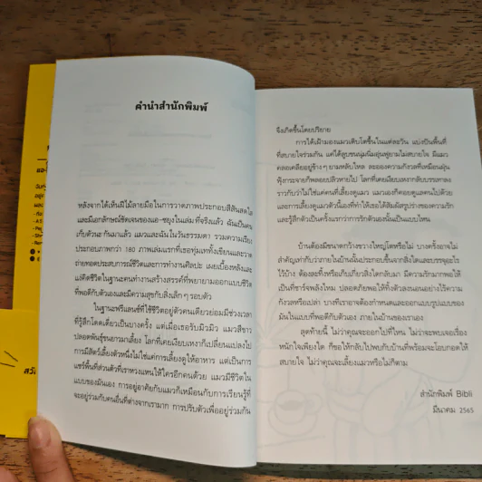 แมวและฉันในวันธรรมดา - แอ-ซยุง รูปที่ 7