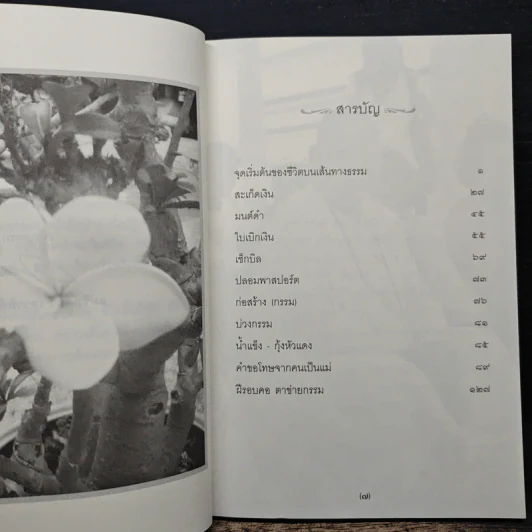 แม่ชีทศพร เทวาพิทักษ์ธรรม เล่ม 1 รูปที่ 7
