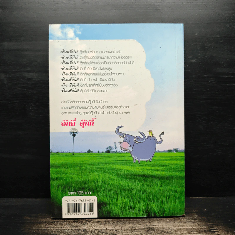 อักลี่ ตุ๊กกี้ Ugly Tukky - สุดารัตน์ บุตรพรม รูปที่ 2