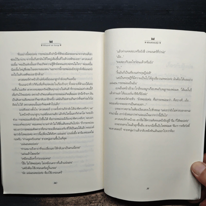 พ่อมดจอมยุ่ง Wizard at Large เล่ม 3 - เทอร์รี บรุกส์ (Terry Brooks) รูปที่ 8