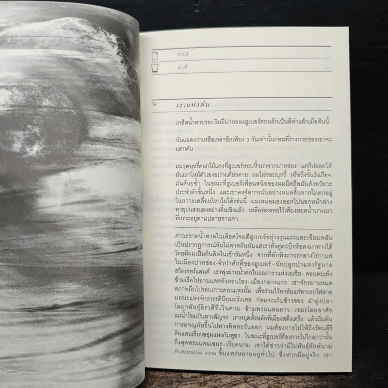 H2O ปรากฎการณ์แตกตัวของน้ำบนแผ่นกระดาษ - อนุสรณ์ ติปยานนท์ รูปที่ 8