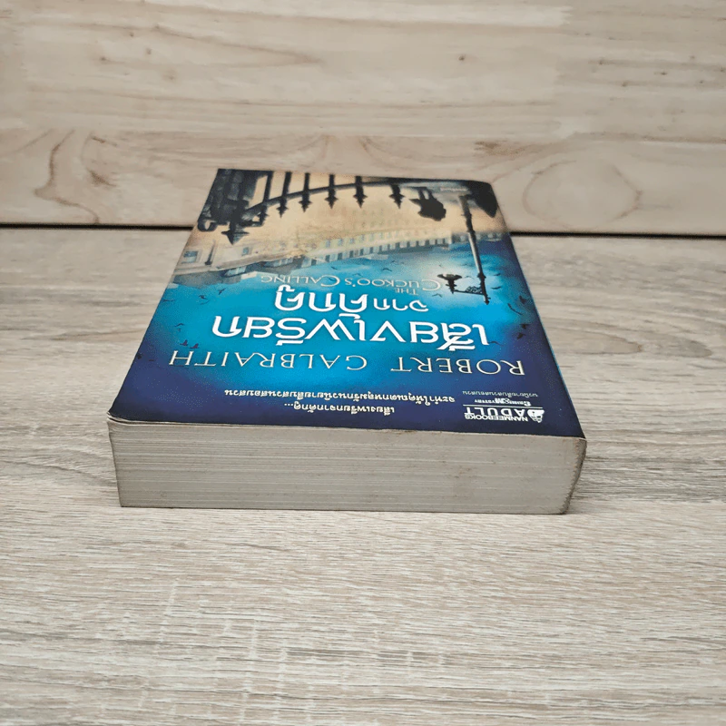 เสียงเพรียกจากคักคู - Robert Galbraith รูปที่ 4