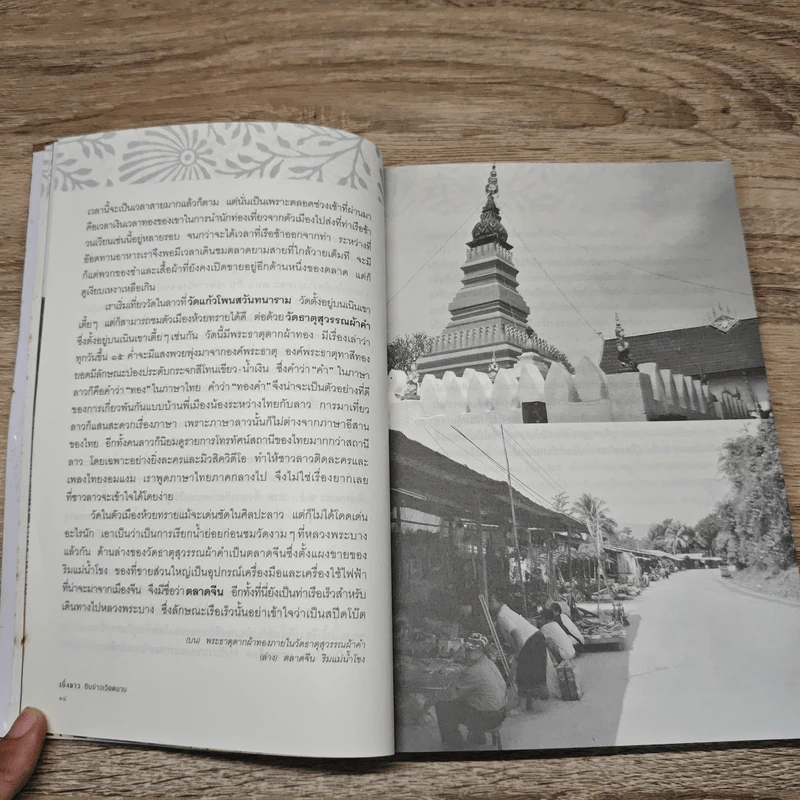 เบิ่งลาว ซินจ่าวเวียดนาม - วีรศักดิ์ เทียนธนะวัฒน์ รูปที่ 9