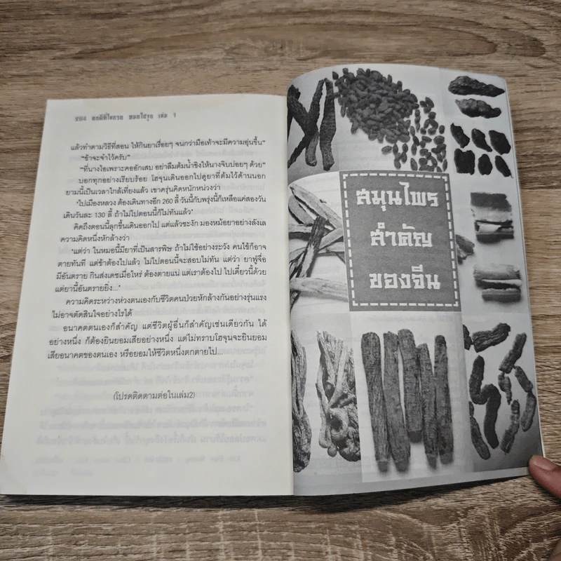 คนดีที่โลกรอ หมอโฮจุน เล่ม 1 - ชนกชาตรี, Chai Wan Kyu รูปที่ 9