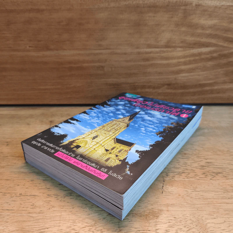 ลุยเดี่ยวไม่เดียวดายในอเมริกาใต้ เล่ม 1-2 - กิตติกานต์ อิศระ รูปที่ 3