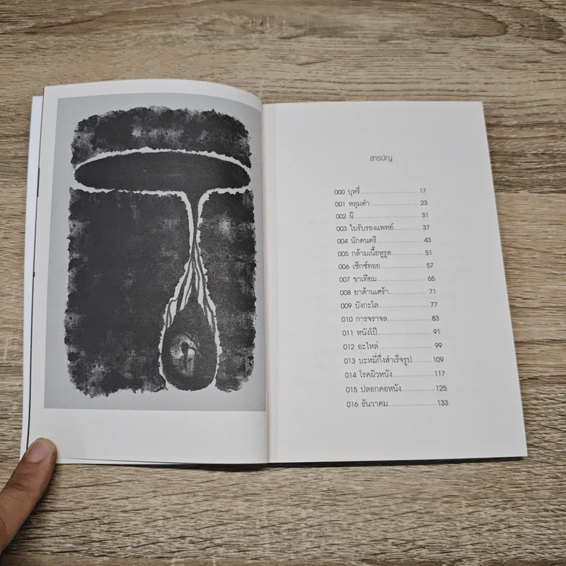 84 Paragraphs of consolations แปดสิบสี่ย่อหน้าของการปลอบประโลม - วิวัฒน์ เลิศวิวัฒน์วงศา รูปที่ 6