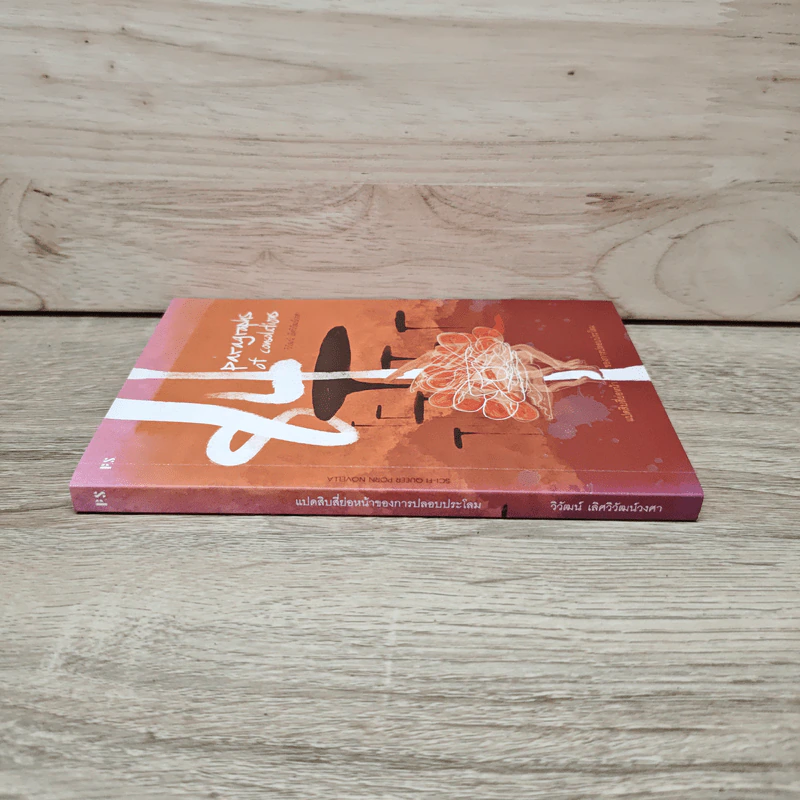 84 Paragraphs of consolations แปดสิบสี่ย่อหน้าของการปลอบประโลม - วิวัฒน์ เลิศวิวัฒน์วงศา รูปที่ 2