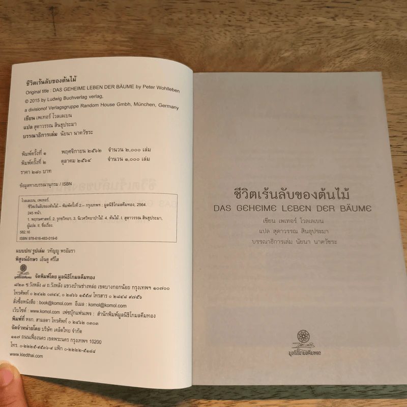 ชีวิตเร้นลับของต้นไม้ - เพเทอร์ โวลเลเบน รูปที่ 6