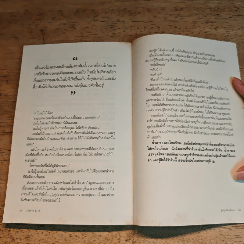 SAINTE RITA ผู้หญิงสีฟ้าครึ้มฝน - ปราย พันแสง รูปที่ 9