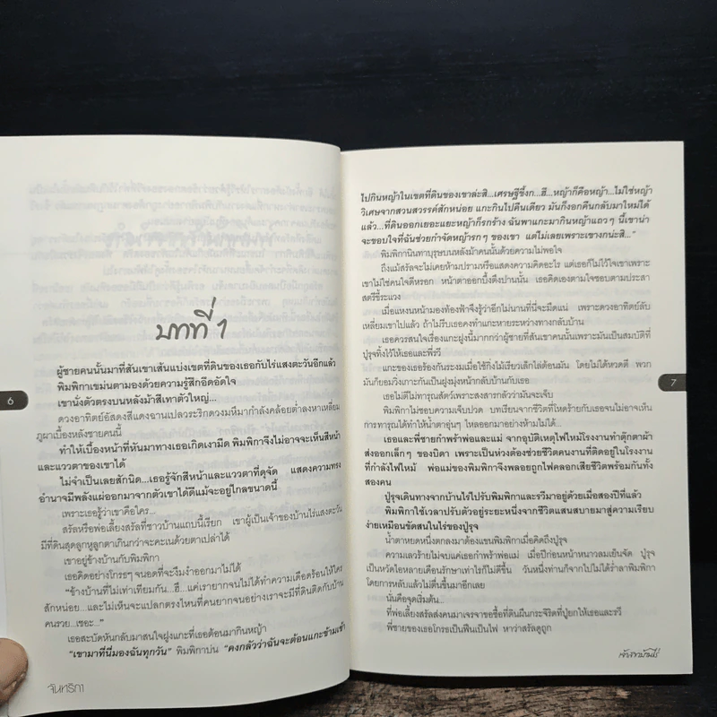 เจ้าสาวบ้านไร่ - จันทริกา รูปที่ 7