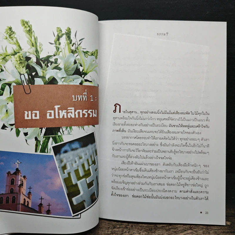 ชีวิตลิขิตด้วย...กรรม - คาริน บีเวอร์ รูปที่ 8
