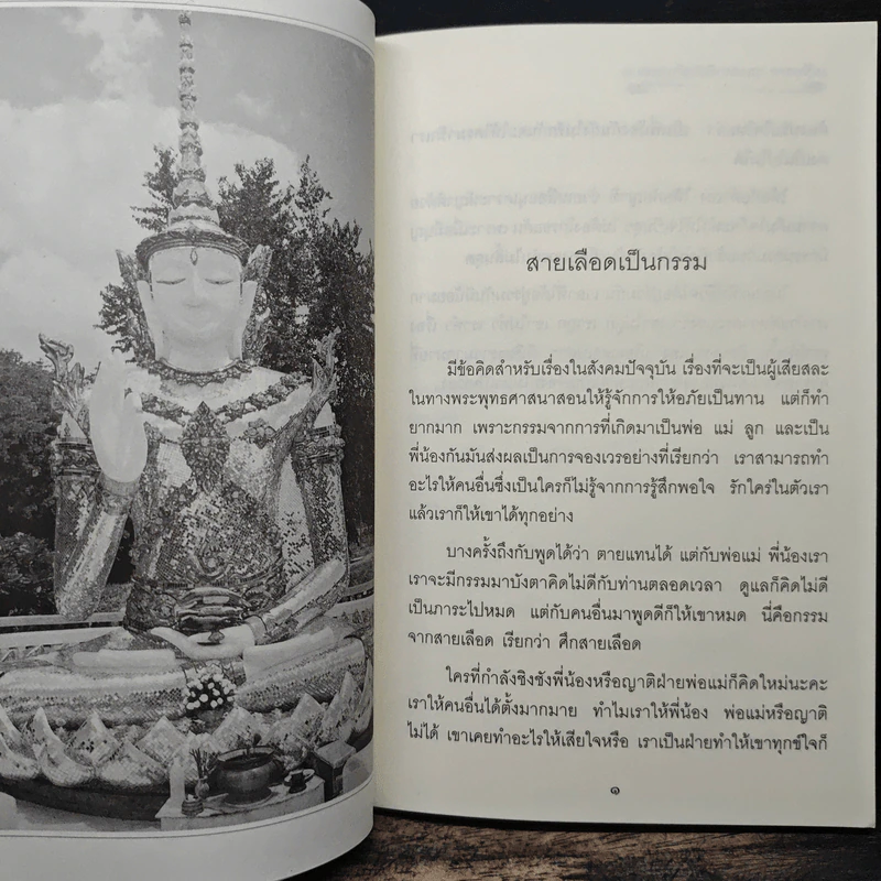 แม่ชีทศพร เทวาพิทักษ์ธรรม 2 - แม่ชีทศพร ชัยประคอง รูปที่ 8