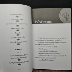 ช้างในชีวิตของผม - ม.ร.ว.คึกฤทธิ์ ปราโมช รูปที่ 8