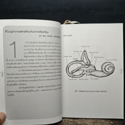 รู้ทันยา รักษาทันโรค รูปที่ 8