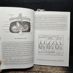 รู้ทันยา รักษาทันโรค รูปที่ 9