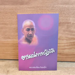 อารมณ์การปฏิบัติ - หลวงพ่อเทียน จิตฺตสุโภ รูปที่ 1