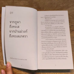 ระหว่างทางจากป่าสู่เมือง - ศศิน เฉลิมลาภ รูปที่ 6
