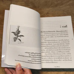 อารมณ์ดอกไม้ - ภาณุ มณีวัฒนกุล รูปที่ 7