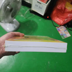 ความลับบนแหลมไซไน - โสภาค สุวรรณ รูปที่ 11