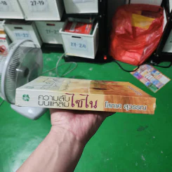 ความลับบนแหลมไซไน - โสภาค สุวรรณ รูปที่ 14