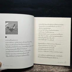 กรรมพริบตาเดียว - อณันยา รูปที่ 8