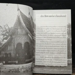 แลลาว - ไพรัตน์ สูงกิจบูลย์ รูปที่ 8
