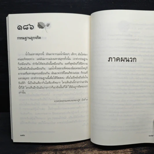 ความผิดในความถูก - พระโพธิญาณเถร รูปที่ 10