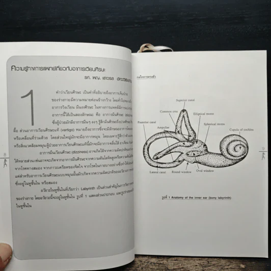 รู้ทันยา รักษาทันโรค รูปที่ 8