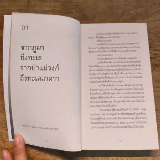 ระหว่างทางจากป่าสู่เมือง - ศศิน เฉลิมลาภ รูปที่ 6