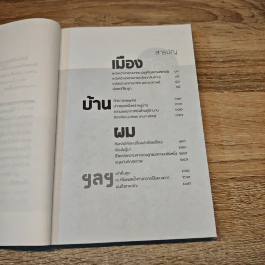 เมืองบ้านผม - จำลอง ฝั่งชลจิตร รูปที่ 8