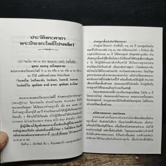 ผลแห่งกรรม - ซำเหมา รูปที่ 7